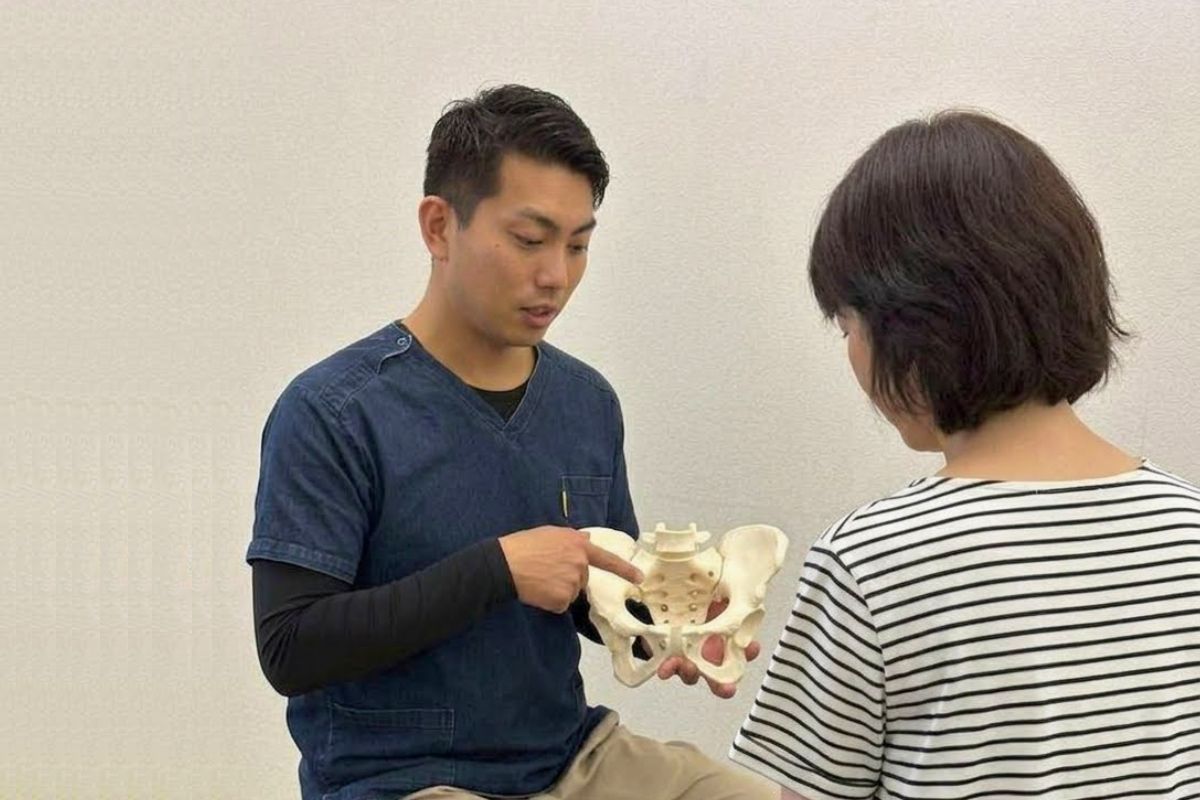 骨盤模型を使った分かりやすい説明
